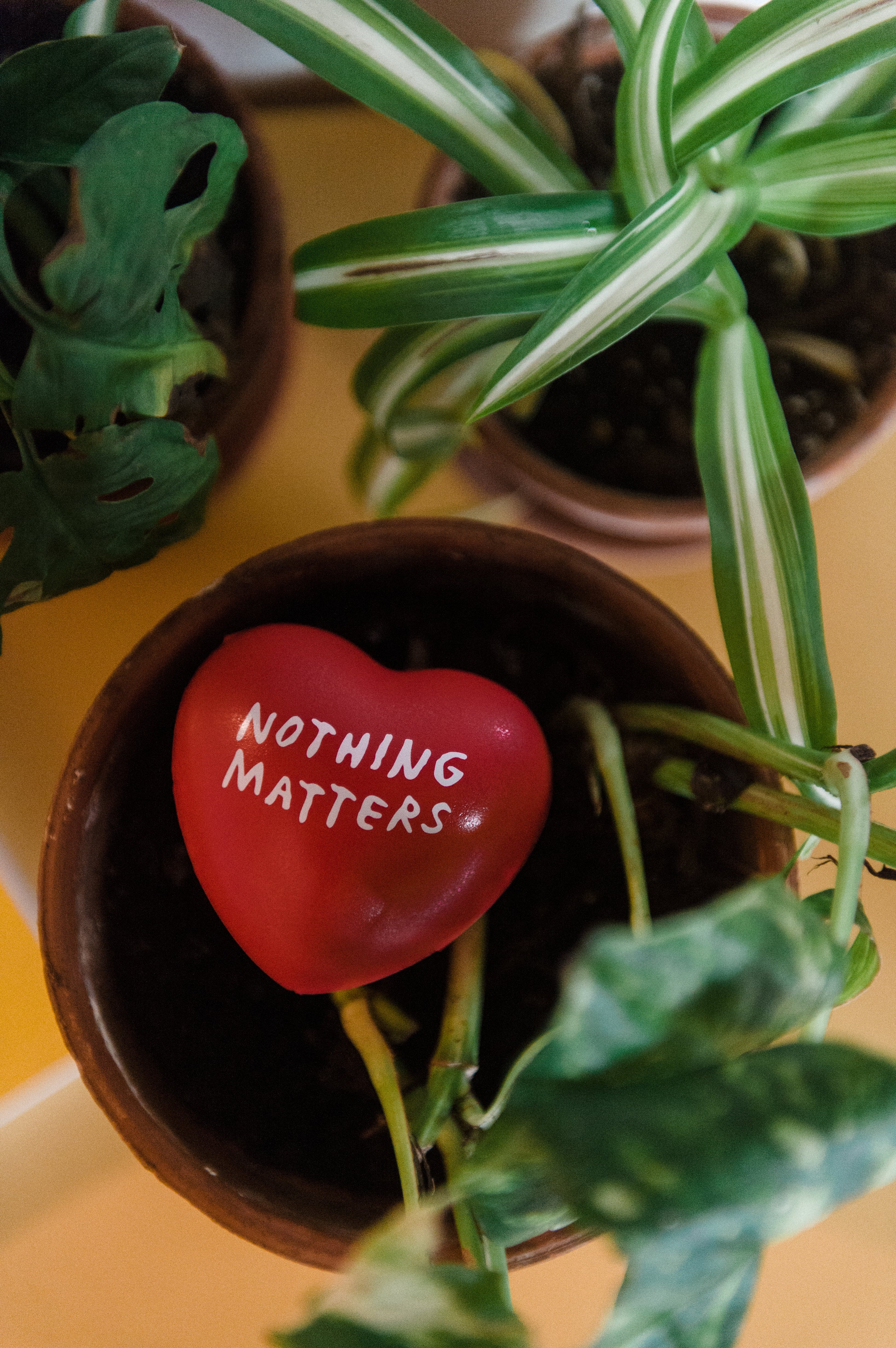 Nothing Matters Stress Toy x Adam JK