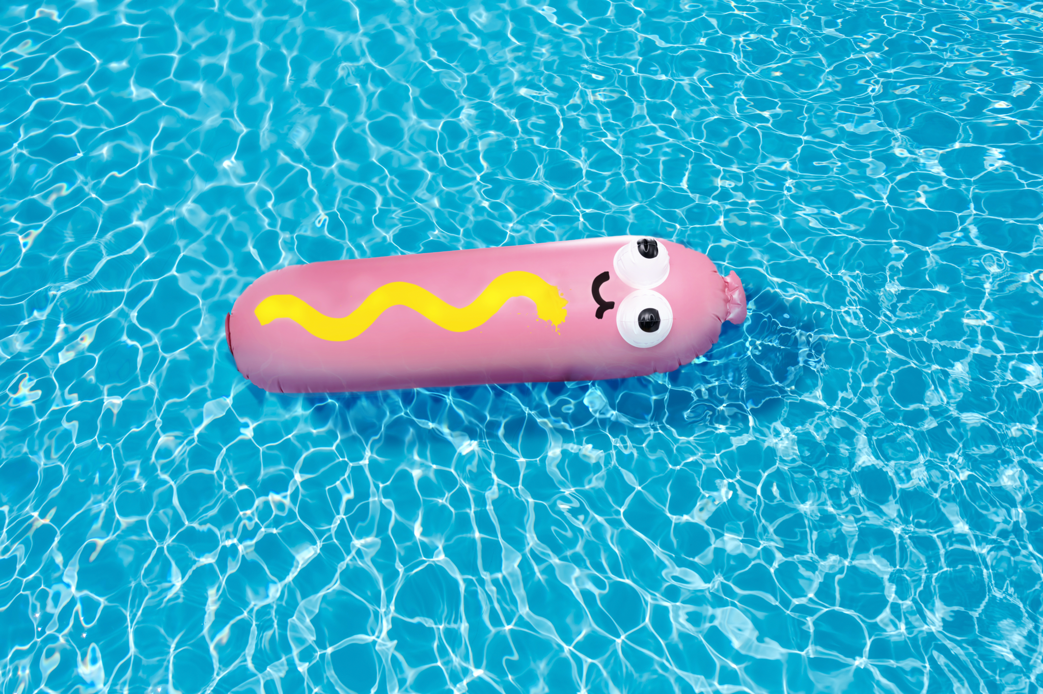 Hot Diggity Dog Pool Float XL x Jon Burgerman